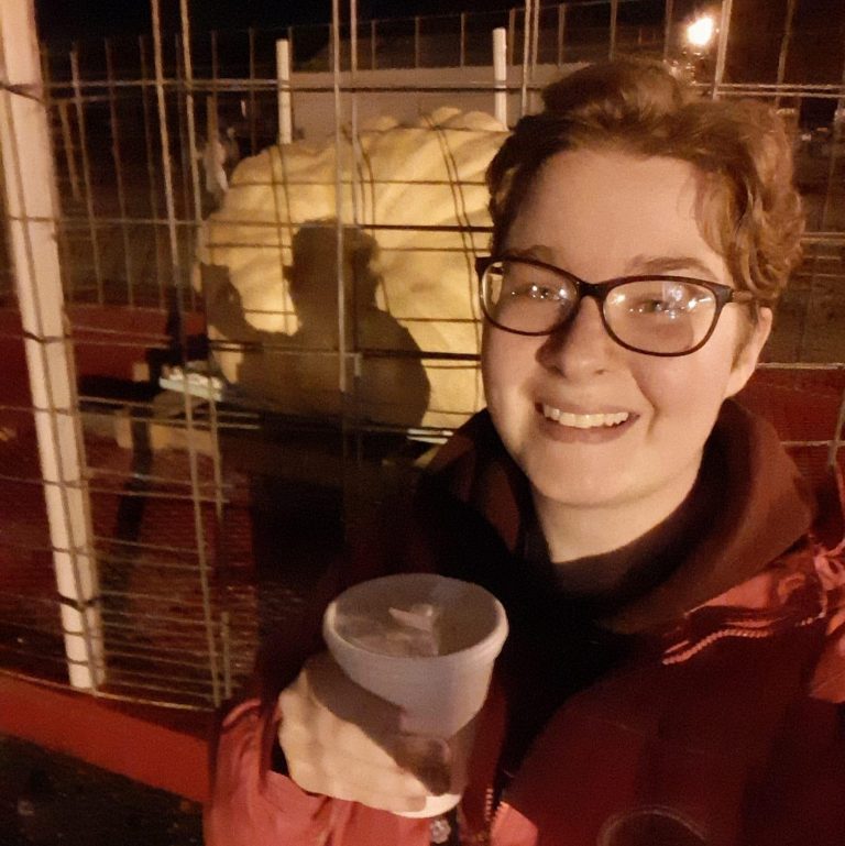 Eleanor lerman critical essays picture